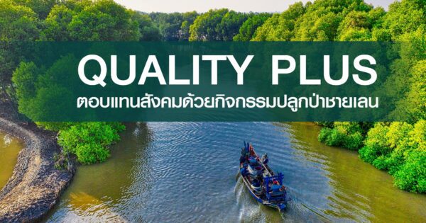 QUALITY PLUS ตอบแทนสังคมด้วยกิจกรรมปลูกป่าชายเลน QUALITY PLUS ตอบแทนสังคมด้วยกิจกรรมปลูกป่าชายเลน