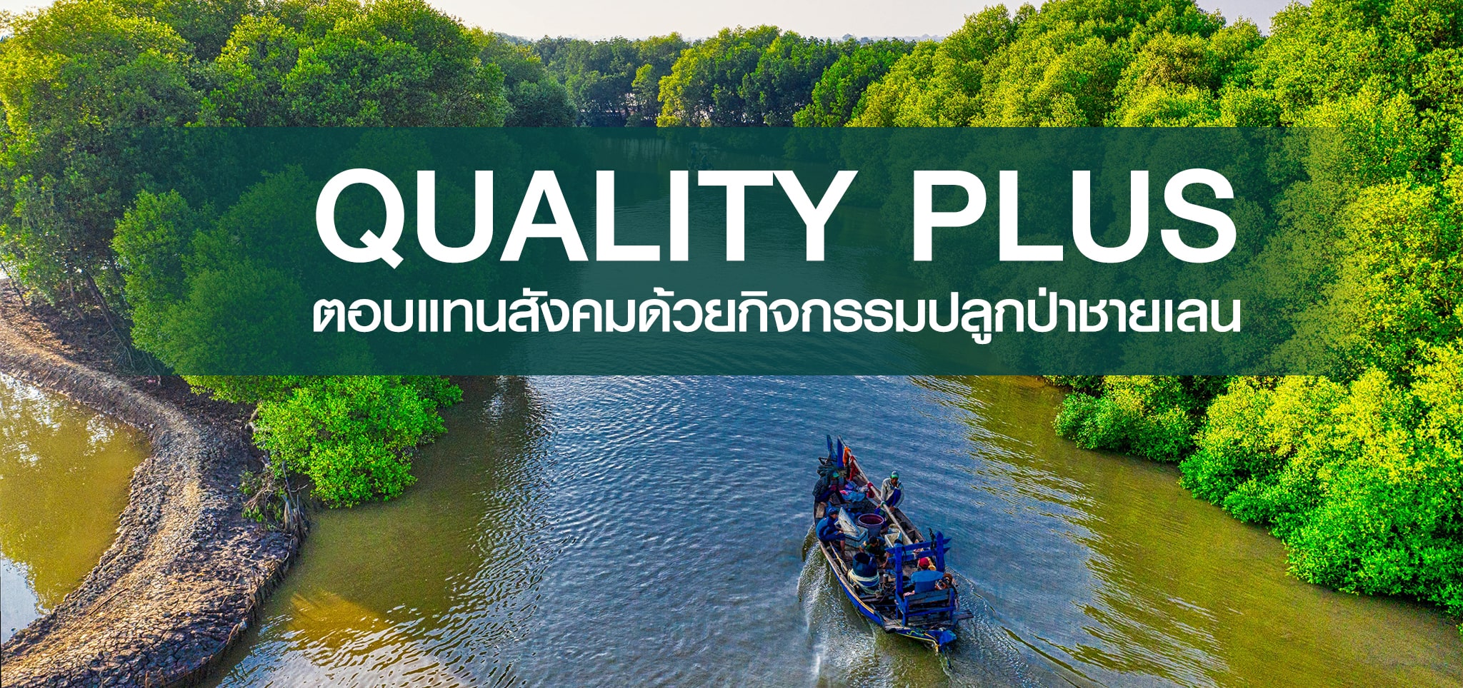 QUALITY PLUS ตอบแทนสังคมด้วยกิจกรรมปลูกป่าชายเลน