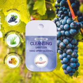 Cleansing Sanitizer Hand Spray Alcohol