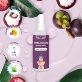 Mangosteen Disinfectant Hand Cleansing