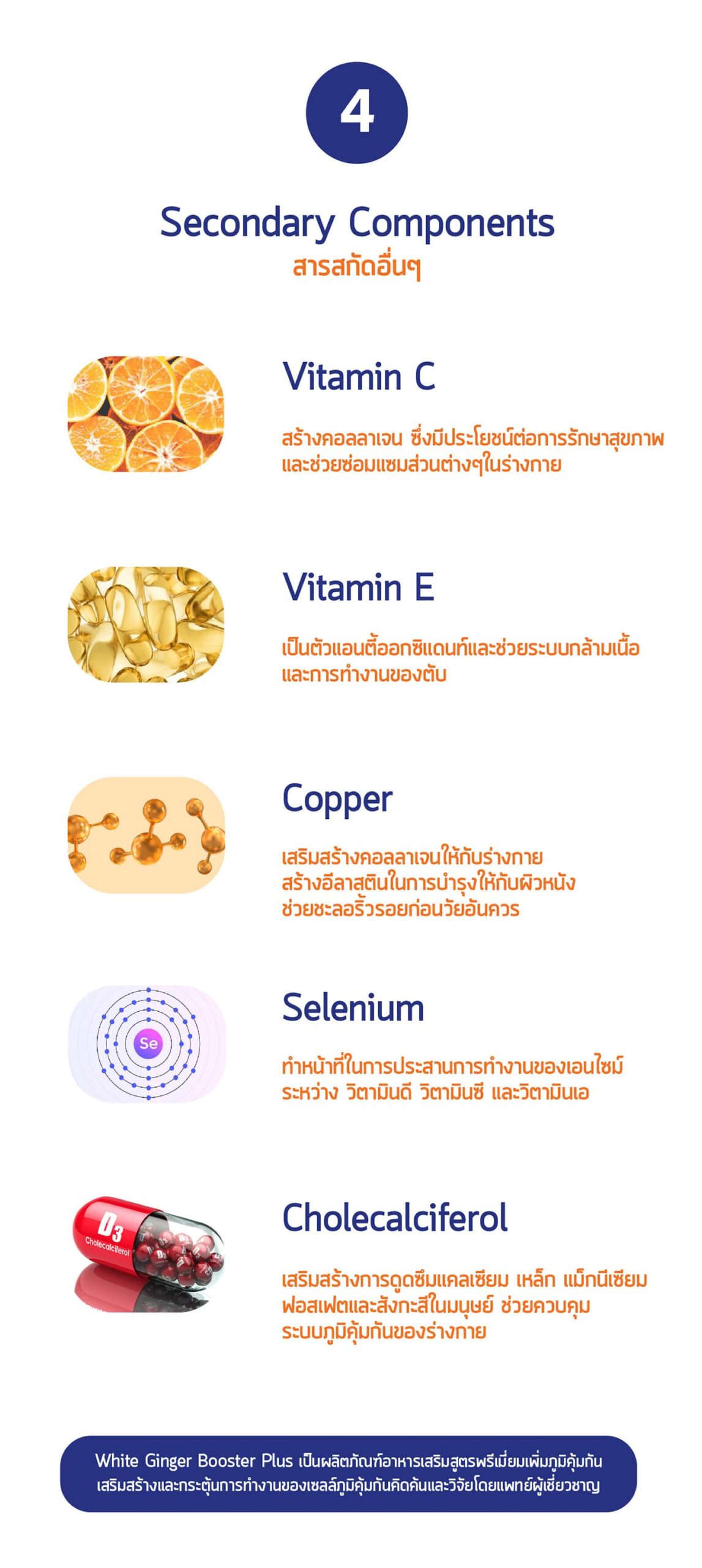 White Ginger Booster Plus