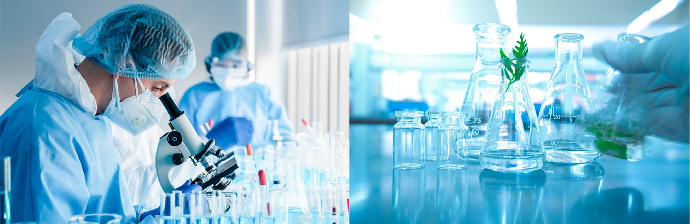 Quality Plus Aesthetic International Co., Ltd.