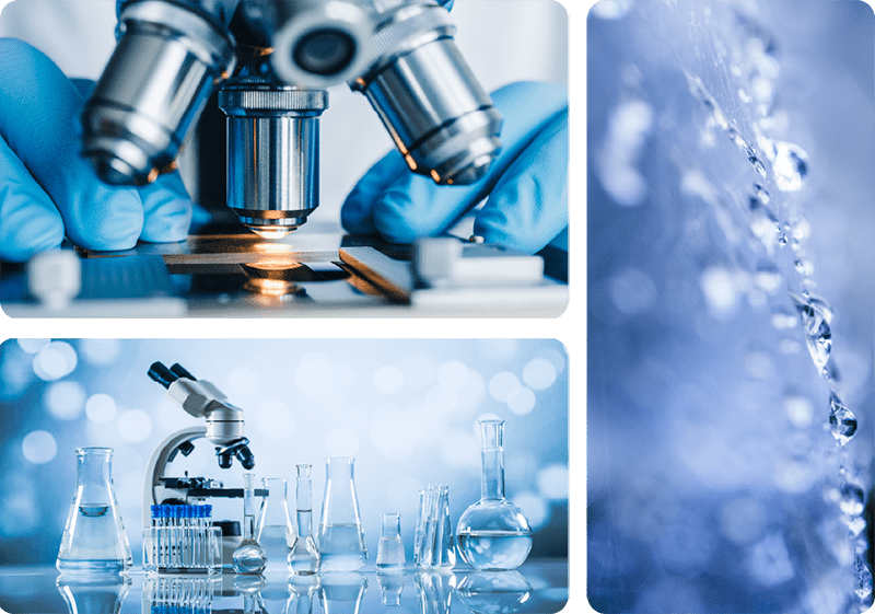 Health and Beauty Biotechnology Company in Thailand