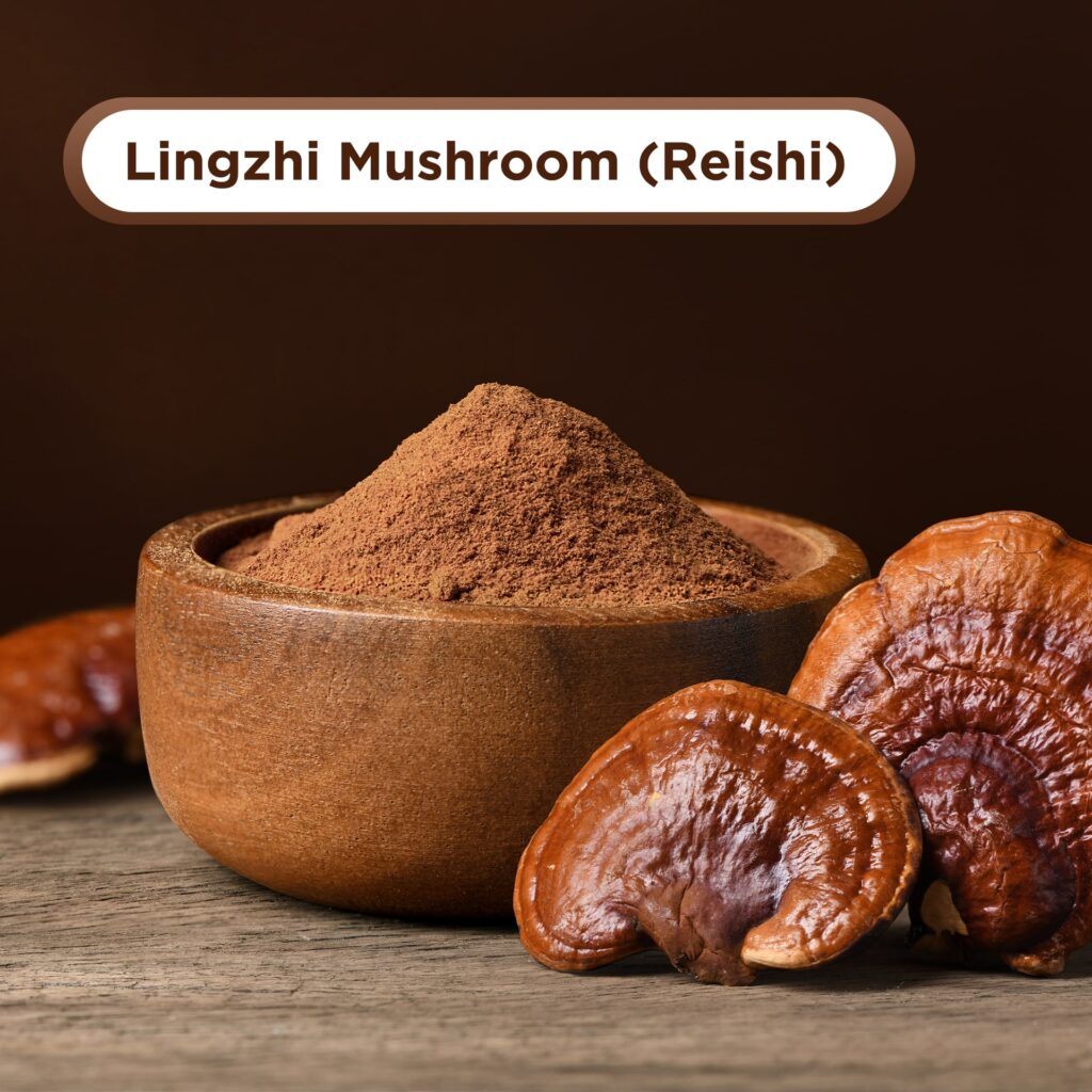 Lingzhi Mushroom as ingredient for private label coffee