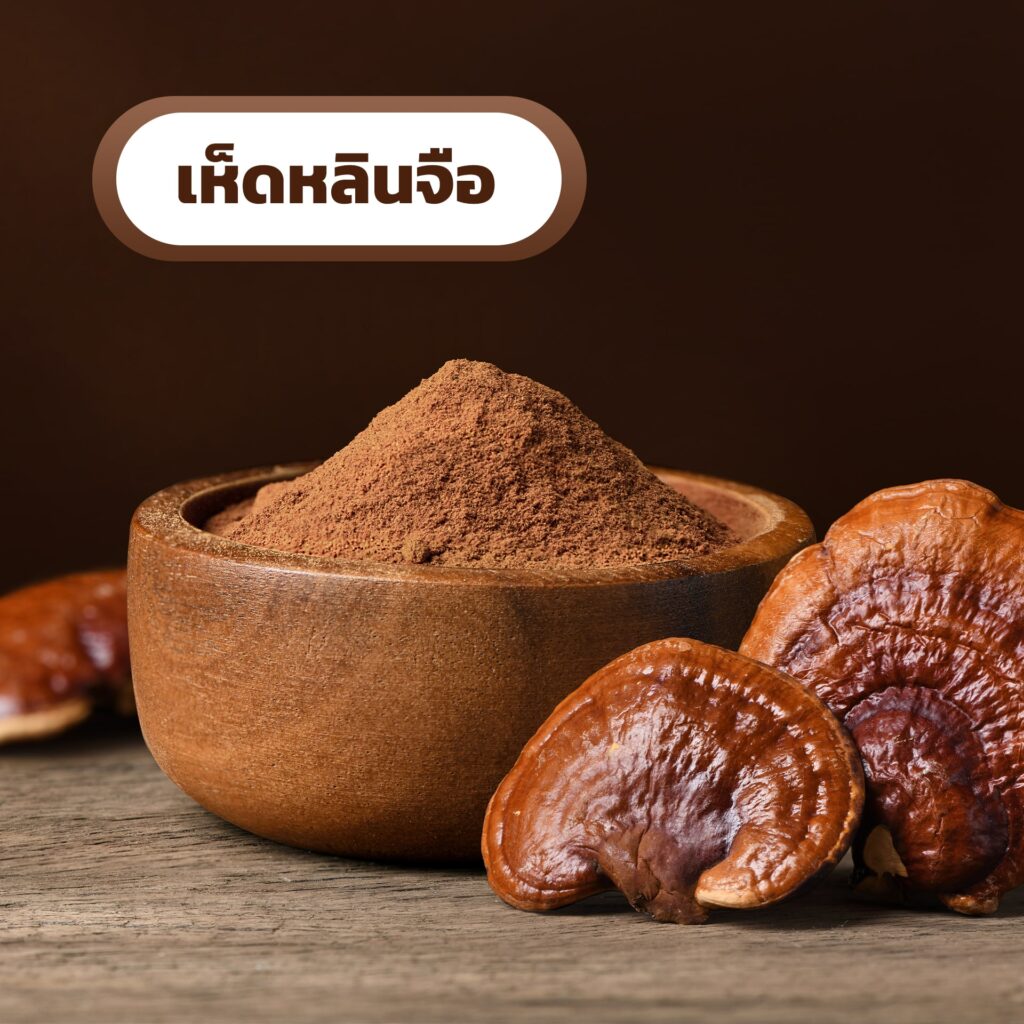 เห็ดหลินจือ (Reishi)