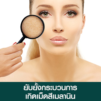 ยับยั้งกระบวนการเกิดเม็ดสีเมลานิน ยับยั้งกระบวนการเกิดเม็ดสีเมลานิน