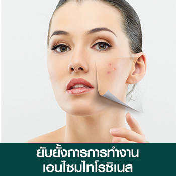 ยับยั้งการทำงานเอนไซมไทโรซิเนส ยับยั้งการทำงานเอนไซมไทโรซิเนส