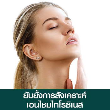 ยับยั้งการสังเคราะห์ เอนไชมไทโรซิเนส ยับยั้งการสังเคราะห์ เอนไชมไทโรซิเนส