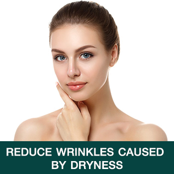 Reduce wrinkles caused by dryness Reduce wrinkles caused by dryness