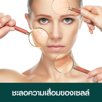 ชะลอความเสื่อมของเซลล์ ชะลอความเสื่อมของเซลล์