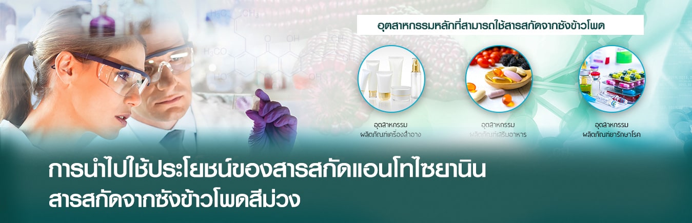 การนำไปใช้ประโยชน์-ภาพจริง การนำไปใช้ประโยชน์-ภาพจริง