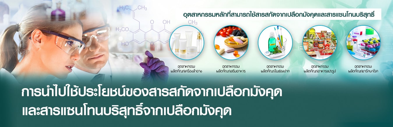 การนำไปใช้ประโยชน์ ของสารสกัดจากเปลือกมังคุดและสารแซนโทนบริสุทธิ์จากเปลือกมังคุด การนำไปใช้ประโยชน์ ของสารสกัดจากเปลือกมังคุดและสารแซนโทนบริสุทธิ์จากเปลือกมังคุด