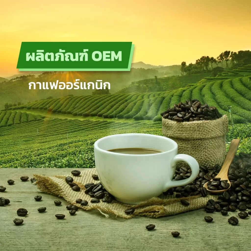 ผลิตภัณฑ์ OEM กาแฟออร์แกนิก