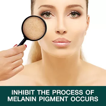 Inhibit the process of melanin pigment occurs Inhibit the process of melanin pigment occurs