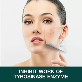 Inhibit work of tyrosinase enzyme Inhibit work of tyrosinase enzyme