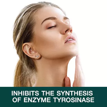 Inhibits the synthesis of enzyme tyrosinase Inhibits the synthesis of enzyme tyrosinase