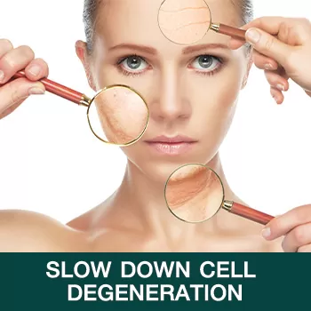 Slow down cell degeneration Slow down cell degeneration